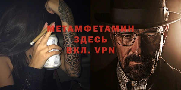 прущие грибы Елизово