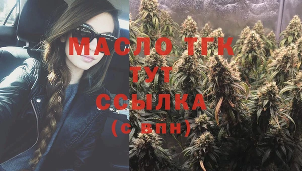 прущие грибы Елизово