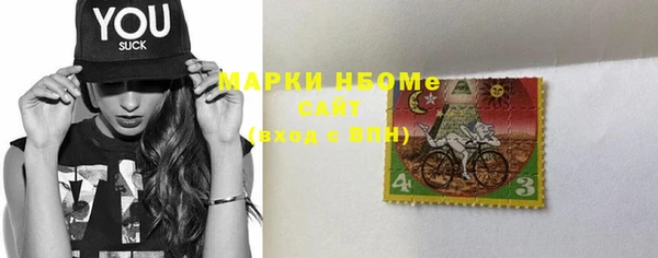 прущие грибы Елизово