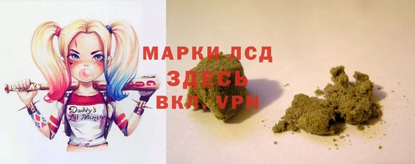 ПСИЛОЦИБИНОВЫЕ ГРИБЫ Ельня