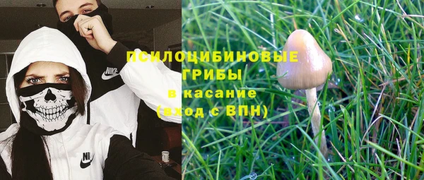ПСИЛОЦИБИНОВЫЕ ГРИБЫ Ельня