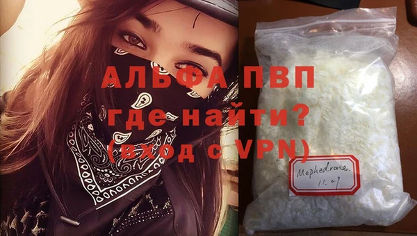 ПСИЛОЦИБИНОВЫЕ ГРИБЫ Ельня