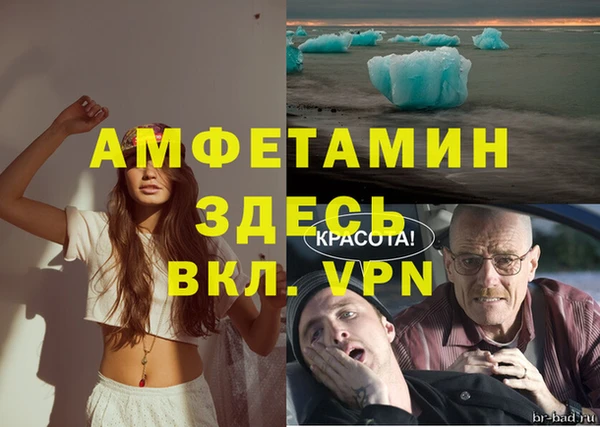 прущие грибы Елизово