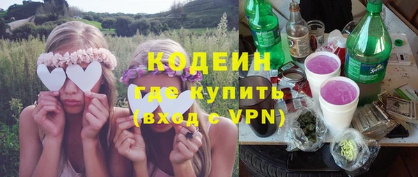 прущие грибы Елизово