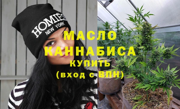 ПСИЛОЦИБИНОВЫЕ ГРИБЫ Ельня