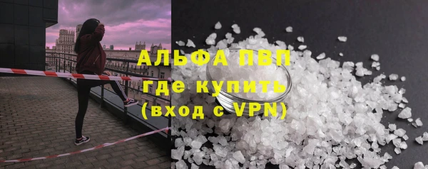 прущие грибы Елизово