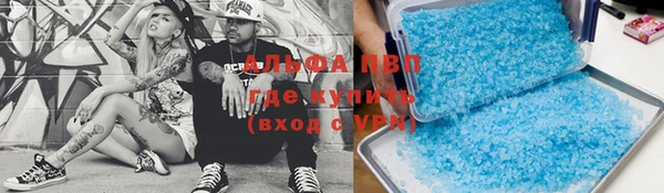 прущие грибы Елизово