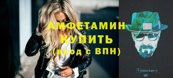 прущие грибы Елизово