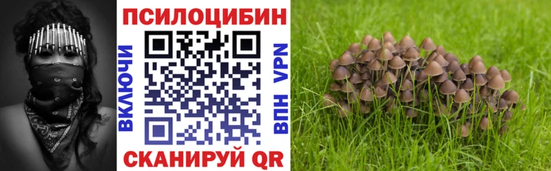 Галлюциногенные грибы ЛСД  Севск 